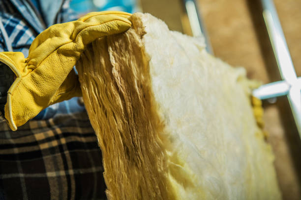 Best Eco-Friendly Insulation in Sherwood Manor, CT